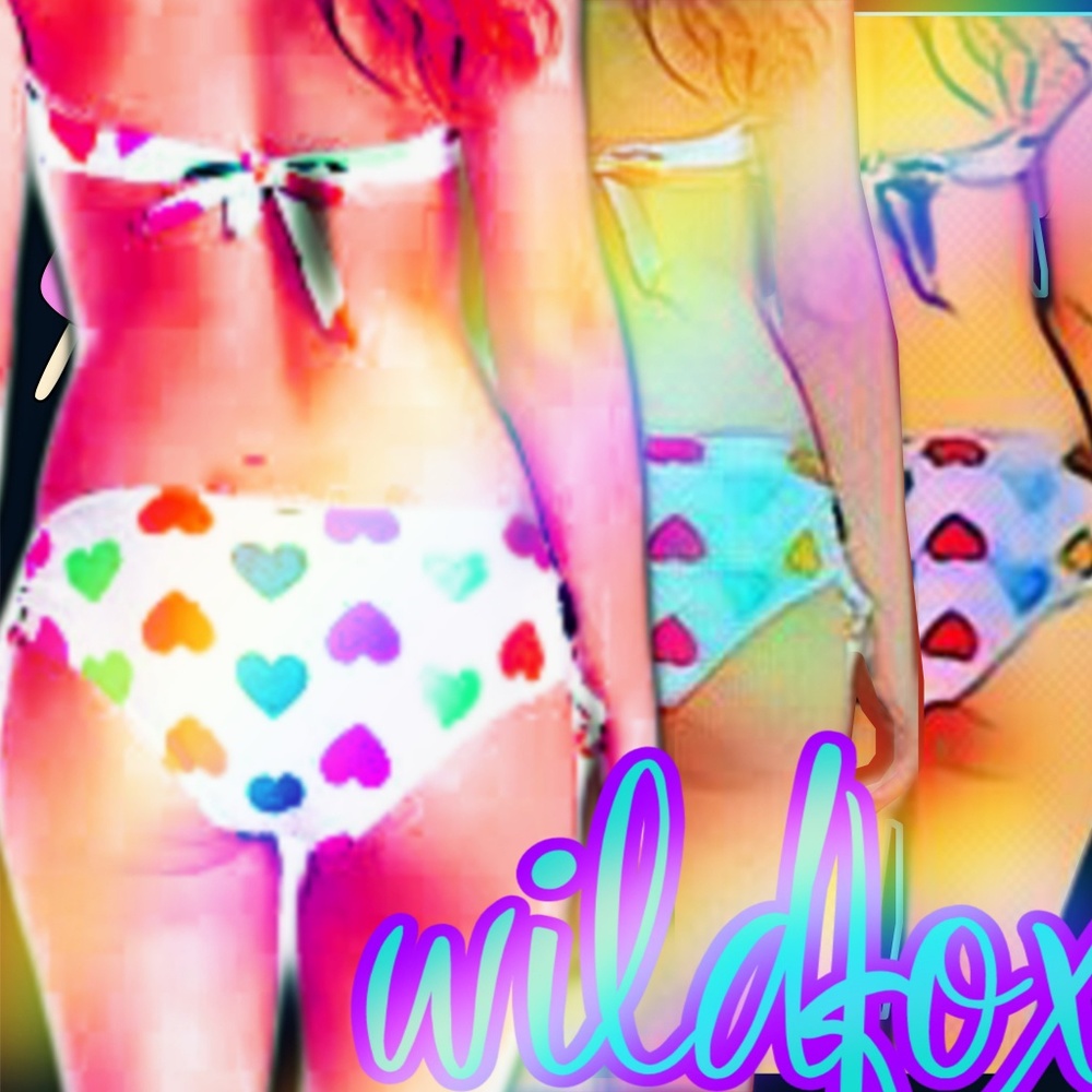 🌈FREE WITH WILDFOX PURCHASE🌈